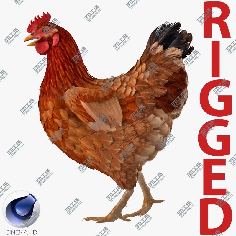 images/goods_img/2021040162/Brown Chicken Rigged for Cinema 4D 3D model/1.jpg